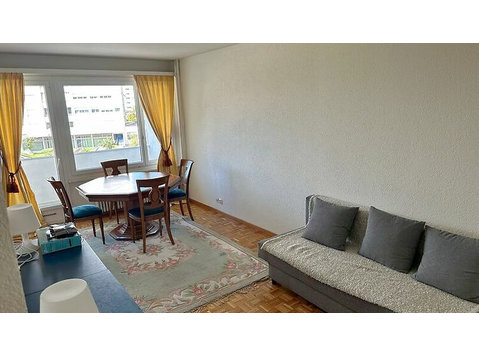 3 ROOM APARTMENT IN GRAND-LANCY (GE), FURNISHED - Apartamente regim hotelier