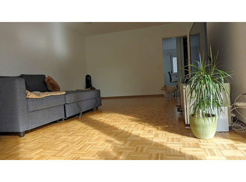 2½ ROOM APARTMENT IN THALWIL (ZH), FURNISHED, TEMPORARY - Verzorgde appartementen