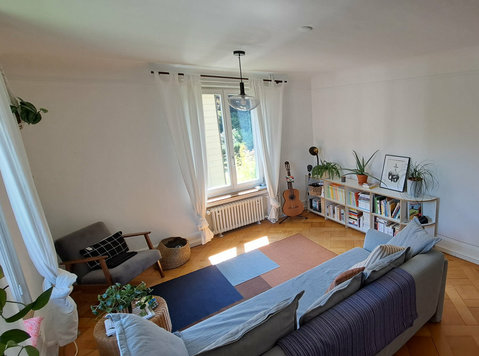 Spacious 4-room flat in Lucerne, fully furnished, temporary - Lejligheder