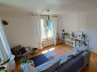 Spacious 4-room flat in Lucerne, fully furnished, temporary - குடியிருப்புகள்  