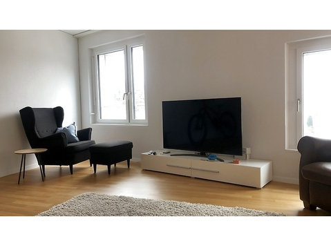 2½ ROOM APARTMENT IN HORW (LU), FURNISHED, TEMPORARY - Aparthotel
