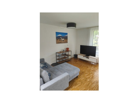 APPARTEMENT 2½ PIÈCES À LUZERN, MEUBLÉ, DURÉE DÉTERMINÉE - Appartements équipés