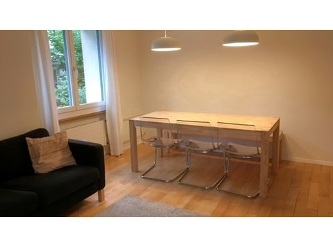 3½ ROOM APARTMENT IN LUZERN, FURNISHED, TEMPORARY - Ενοικιαζόμενα δωμάτια με παροχή υπηρεσιών