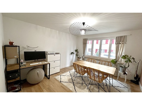 3 ROOM APARTMENT IN LUZERN, FURNISHED, TEMPORARY - Serviced apartments