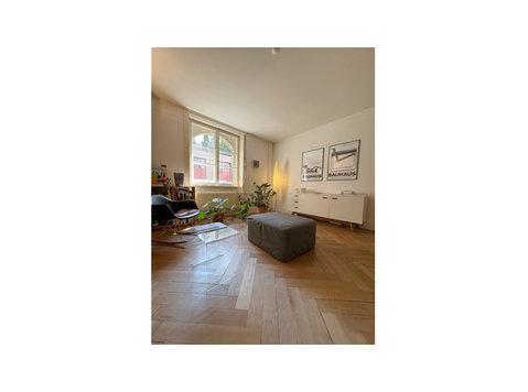 3 ROOM APARTMENT IN LUZERN, FURNISHED, TEMPORARY - Serviced apartments