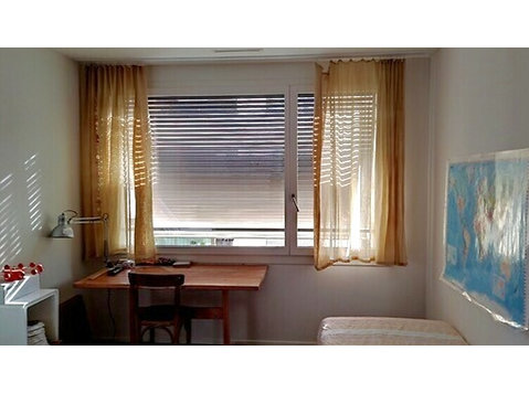 APPARTEMENT 4½ PIÈCES À LUZERN, MEUBLÉ, DURÉE DÉTERMINÉE - Appartements équipés