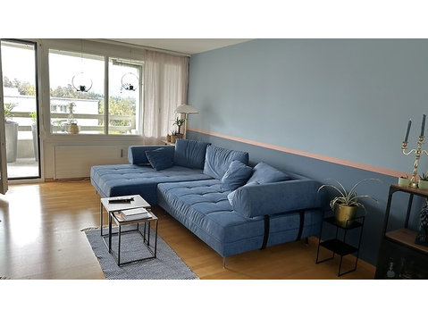 4½ ROOM APARTMENT IN LUZERN, FURNISHED, TEMPORARY - Ενοικιαζόμενα δωμάτια με παροχή υπηρεσιών