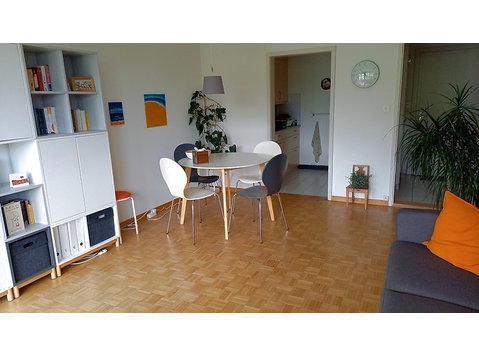 2 ROOM APARTMENT IN SCHAFFHAUSEN, FURNISHED, TEMPORARY - Apartamentos con servicio