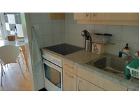 2 ROOM APARTMENT IN SCHAFFHAUSEN, FURNISHED, TEMPORARY - Хотелски апартаменти