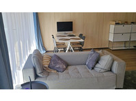 2½ ROOM APARTMENT IN GOLDAU (SZ), FURNISHED, TEMPORARY - Apartamente regim hotelier