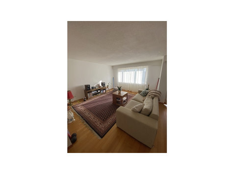 4½ ROOM APARTMENT IN WANGEN B. OLTEN (SO), FURNISHED,… - Serviced apartments