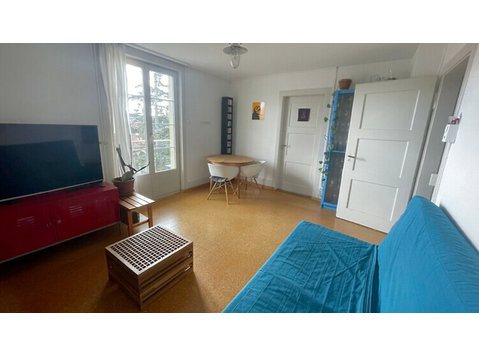 3 ROOM APARTMENT IN SOLOTHURN, FURNISHED, TEMPORARY - Verzorgde appartementen