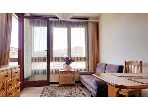 APPARTEMENT 2 PIÈCES À VIGANELLO (TI), MEUBLÉ - Appartements équipés