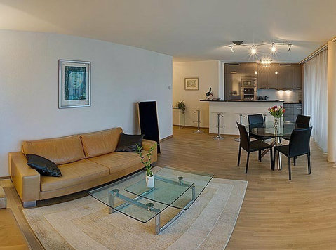 Piso amueblado de 5 espacios en Nyon. (120) - Pisos