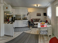 Quiet garden close to Geneva (011)