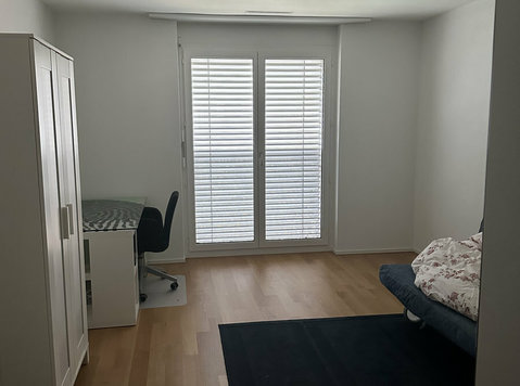 Flat share in central Zug - Camere de inchiriat