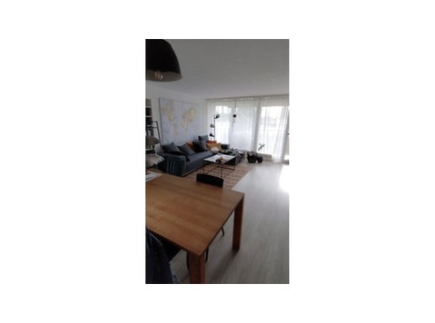 2½ ROOM APARTMENT IN CHAM (ZG), FURNISHED, TEMPORARY - Kalustetut asunnot