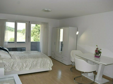 1.5-room Furnished Apartment in 8108 Dällikon, Zurich - Leiligheter