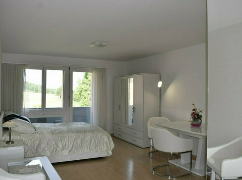 1.5-room Furnished Apartment in 8108 Dällikon, Zurich - Leiligheter
