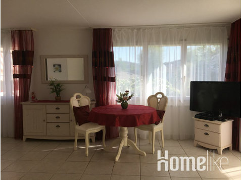 2.5 room furnished apartment with terrace - Apartments