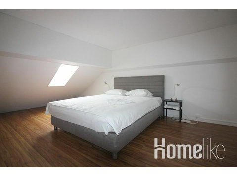 Apartamento de 2 dormitorios en la ciudad de Zúrich - Pisos