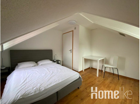 2 Room Apartment in the City Zürich - Lakások