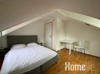 2-kamer appartement in de stad Zürich - Appartementen