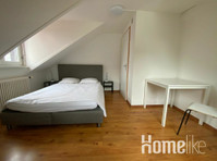 2 Room Apartment in the City Zürich - Lejligheder