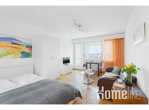 Amplio apartamento de 1,5 habitaciones en Zurich - Pisos