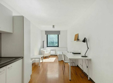 Student room with private bathroom in Seefeldstrasse (4) - Apartmány