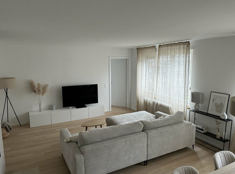 Stunning Fully Furnished 3.5 Room Apartment near Limmatplatz - Apartamente