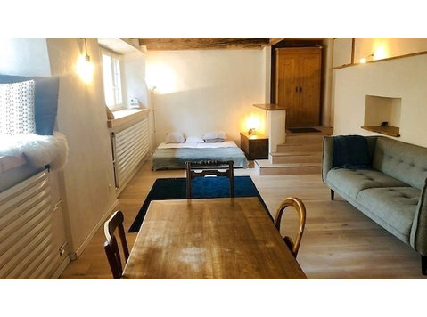 1½ ROOM APARTMENT IN WÄDENSWIL (ZH), FURNISHED, TEMPORARY - Serviced apartments