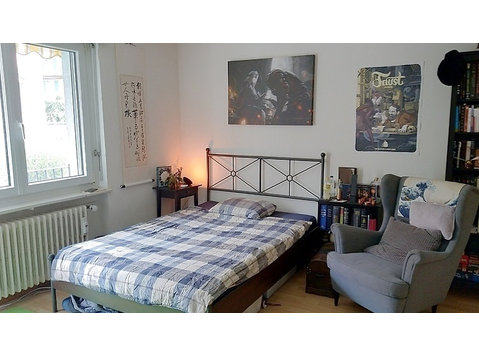 APPARTEMENT 1 PIÈCE À ZÜRICH - KREIS 10, MEUBLÉ, DURÉE… - Appartements équipés