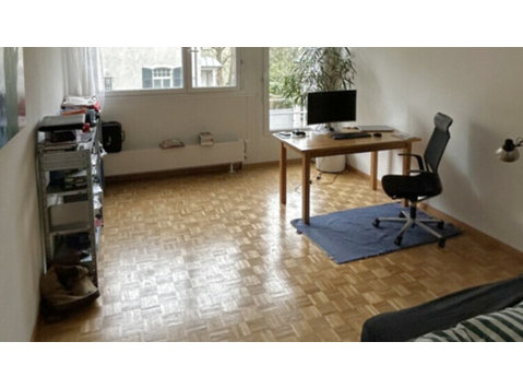 1½ ROOM APARTMENT IN ZÜRICH - KREIS 7 HOTTINGEN, FURNISHED,… - Apartamentos con servicio