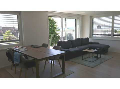 APPARTEMENT 2½ PIÈCES À BASSERSDORF (ZH), MEUBLÉ, DURÉE… - Appartements équipés