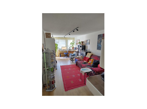 2½ ROOM APARTMENT IN ZÜRICH - KREIS 2 WOLLISHOFEN,… - Serviced apartments