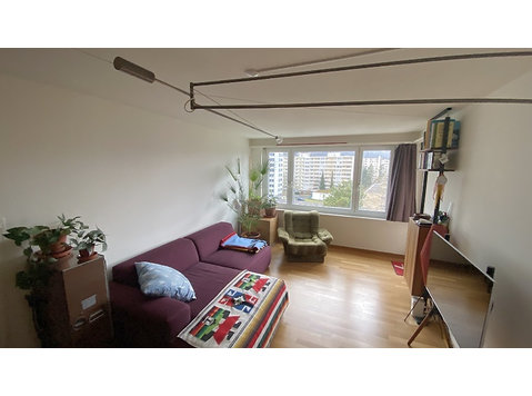 APPARTEMENT 2½ PIÈCES À ZÜRICH - KREIS 3 TRIEMLI, MEUBLÉ,… - Appartements équipés