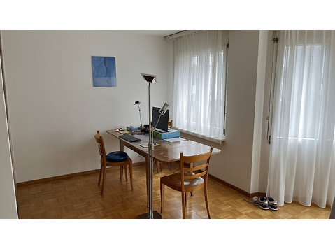 2½ ROOM APARTMENT IN ZÜRICH - KREIS 5 INDUSTRIEQUARTIER,… - Serviced apartments