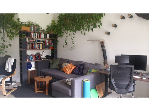 2½ ROOM APARTMENT IN ZÜRICH - KREIS 6 UNTERSTRASS,… - Ενοικιαζόμενα δωμάτια με παροχή υπηρεσιών