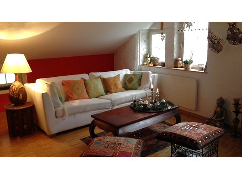 2½ ROOM MAISONETTE APARTMENT IN ZÜRICH - KREIS 1… - Serviced apartments