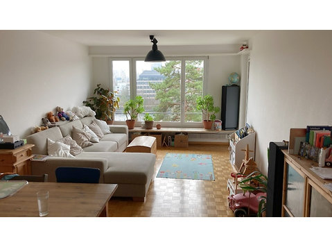 3½ ROOM APARTMENT IN ZÜRICH - KREIS 10 HÖNGG, FURNISHED,… - Ενοικιαζόμενα δωμάτια με παροχή υπηρεσιών