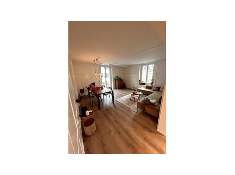 3½ ROOM APARTMENT IN ZÜRICH - KREIS 3, FURNISHED, TEMPORARY - Serviced apartments