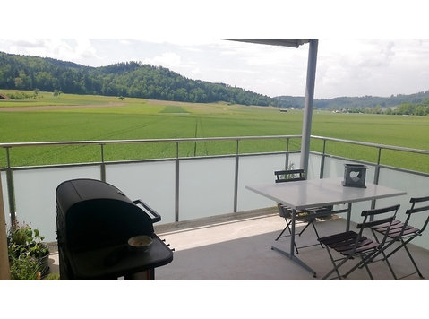 4½ ROOM APARTMENT IN ELGG (ZH), FURNISHED, TEMPORARY - Serviced apartments