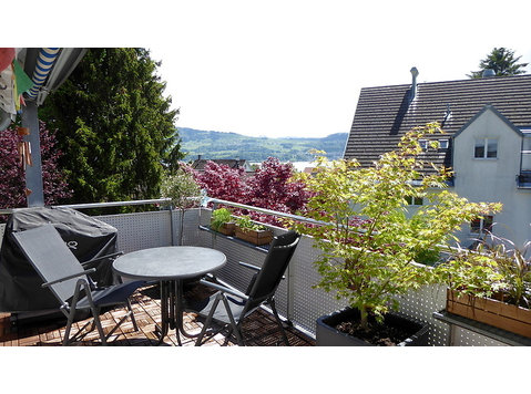 4½ ROOM APARTMENT IN STÄFA (ZH), FURNISHED, TEMPORARY - Aparthotel