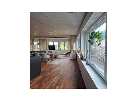 4½ ROOM APARTMENT IN ZÜRICH, FURNISHED, TEMPORARY - Ενοικιαζόμενα δωμάτια με παροχή υπηρεσιών