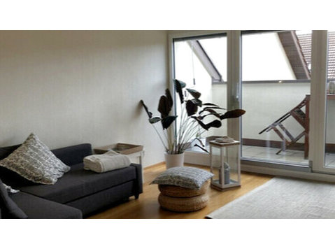 2½ ROOM APARTMENT IN WINTERTHUR, FURNISHED, TEMPORARY - Serviced apartments