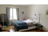 2½ ROOM APARTMENT IN WINTERTHUR - MATTENBACH, FURNISHED,… - Aparthotel