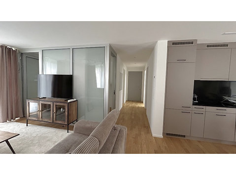 APPARTEMENT 2½ PIÈCES À WINTERTHUR - WÜLFLINGEN, MEUBLÉ - Appartements équipés