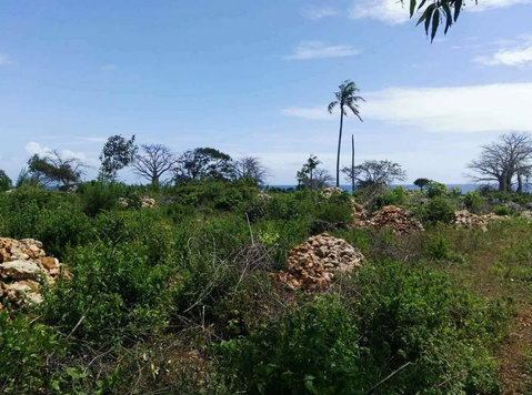 47 Acres of farm land in Kitope Zanzibar for sale - زمین