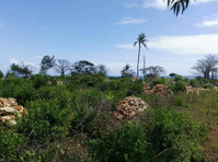 47 Acres of farm land in Kitope Zanzibar for sale - Земя